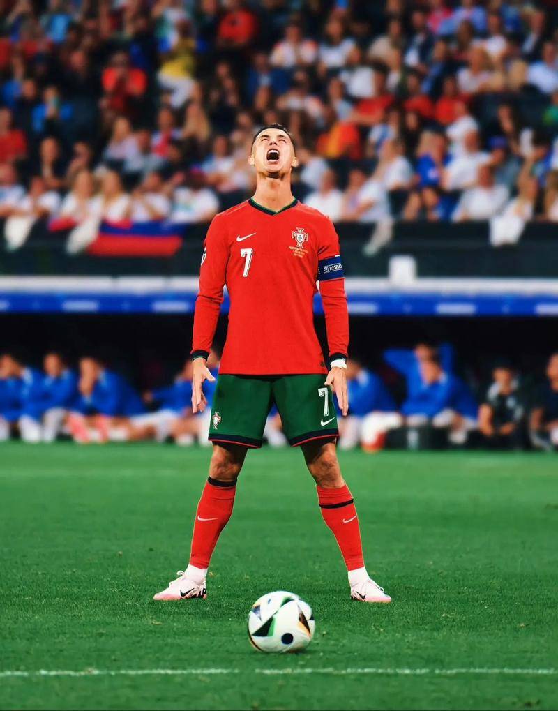 队的标志 队的标志