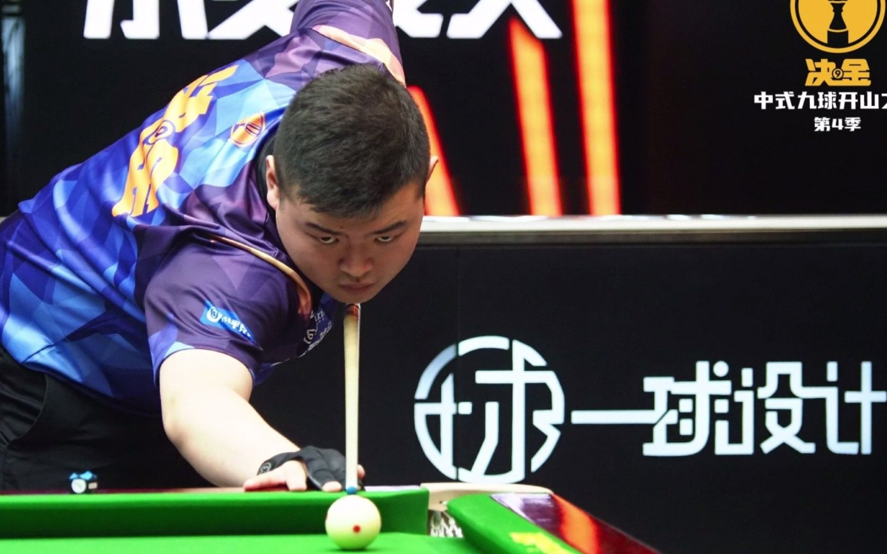 与她几十年 与她几十年